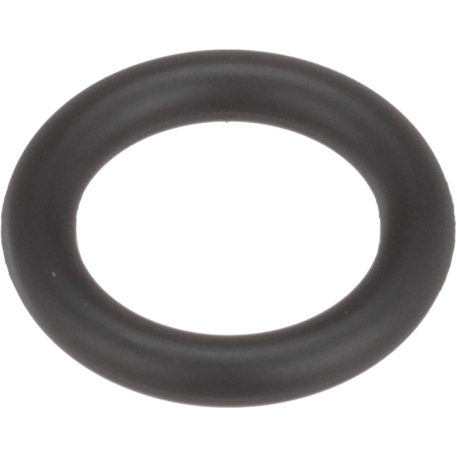 Standard Ignition Fuel Injector O-Ring SK179 main image