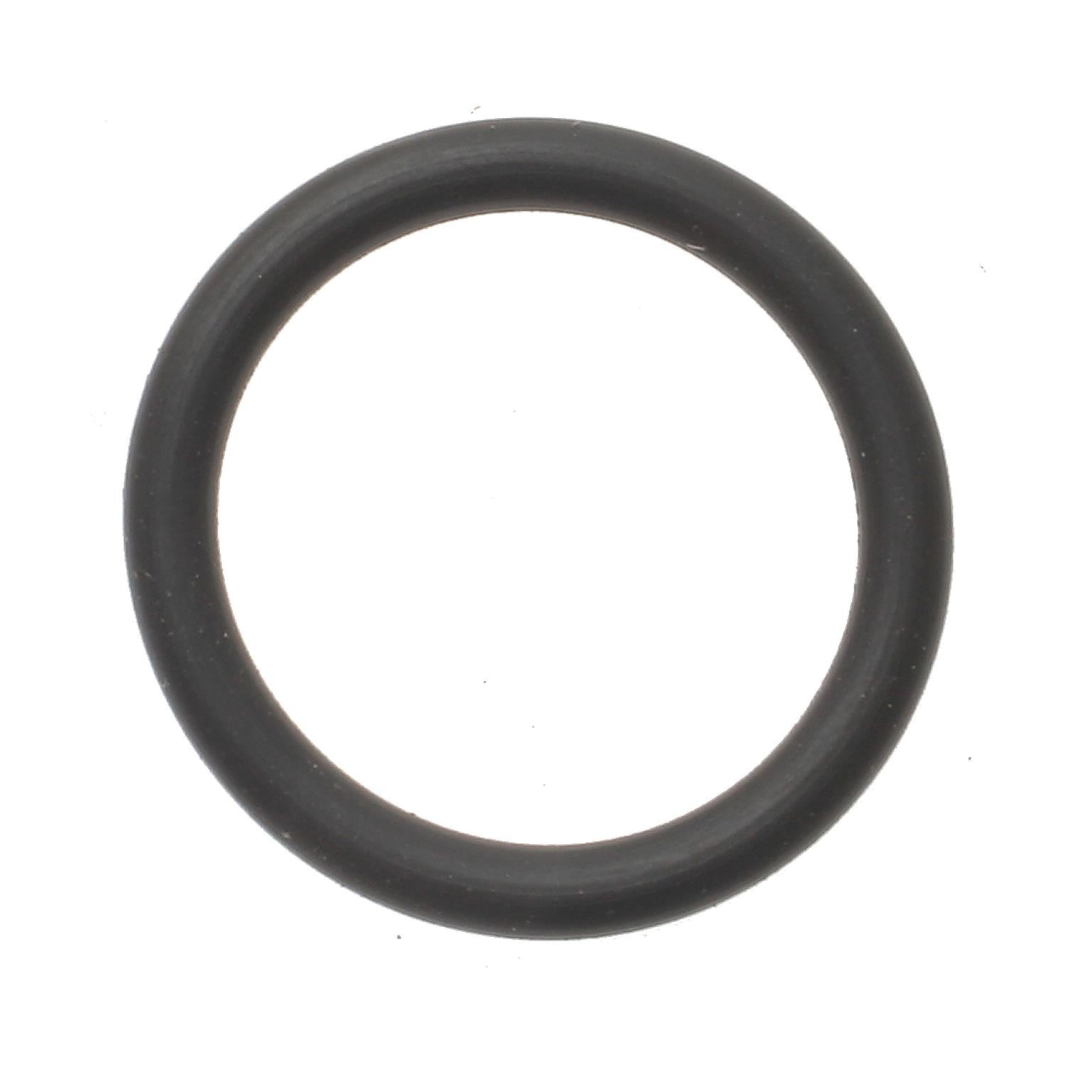 Intermotor Fuel Injection Pressure Regulator O-Ring SK31 main image
