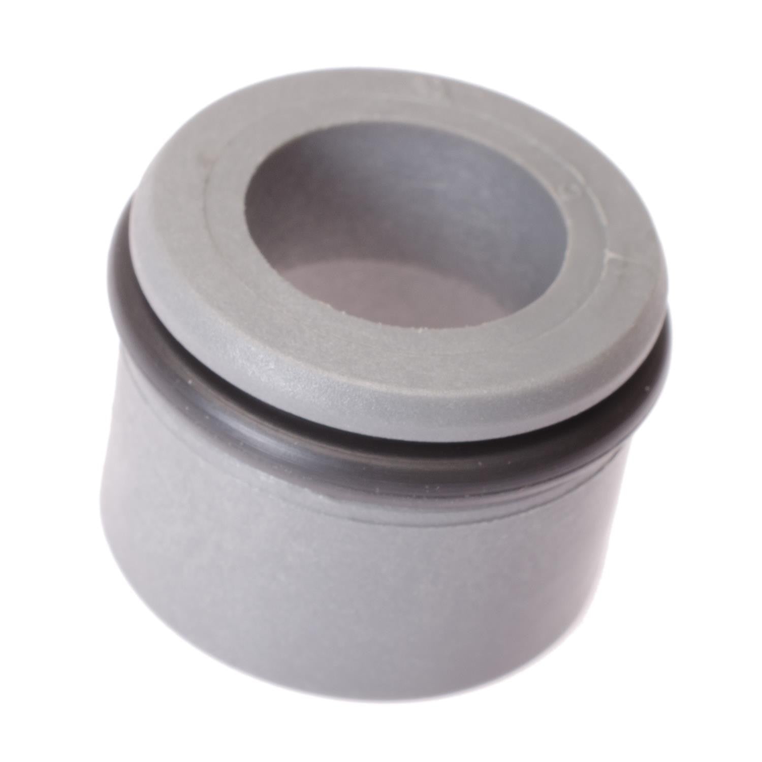 Standard Ignition Fuel Injector Seal Kit SK95