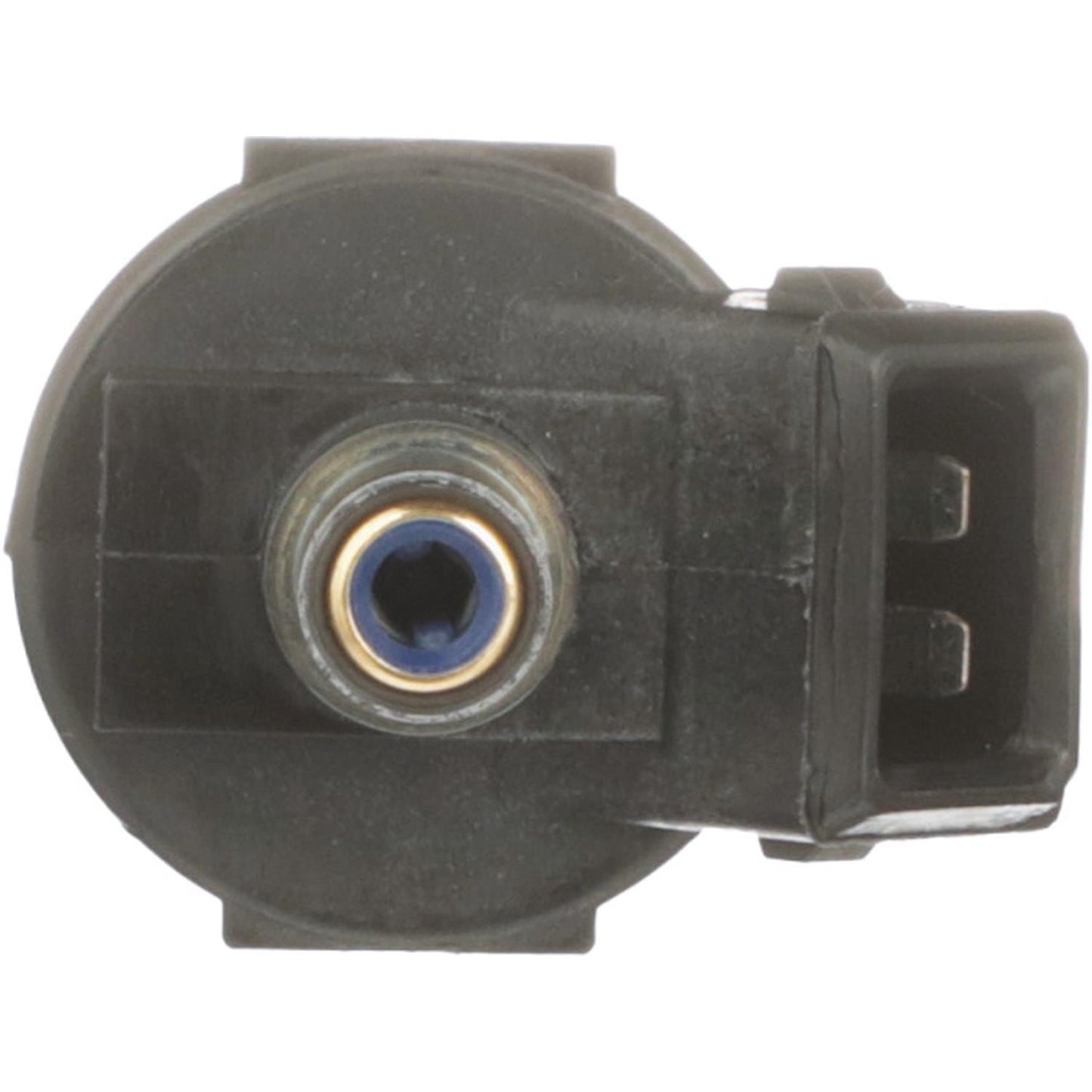 Standard Ignition Fuel Injector TJ100