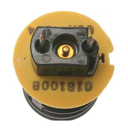 Standard Ignition Fuel Injector TJ22