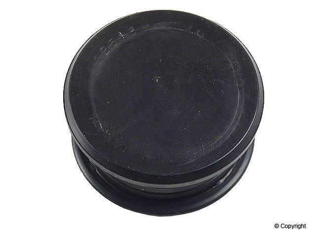 Stone Engine Valve Cover Cam Bore Plug