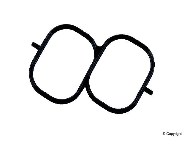 Stone Fuel Injection Plenum Gasket