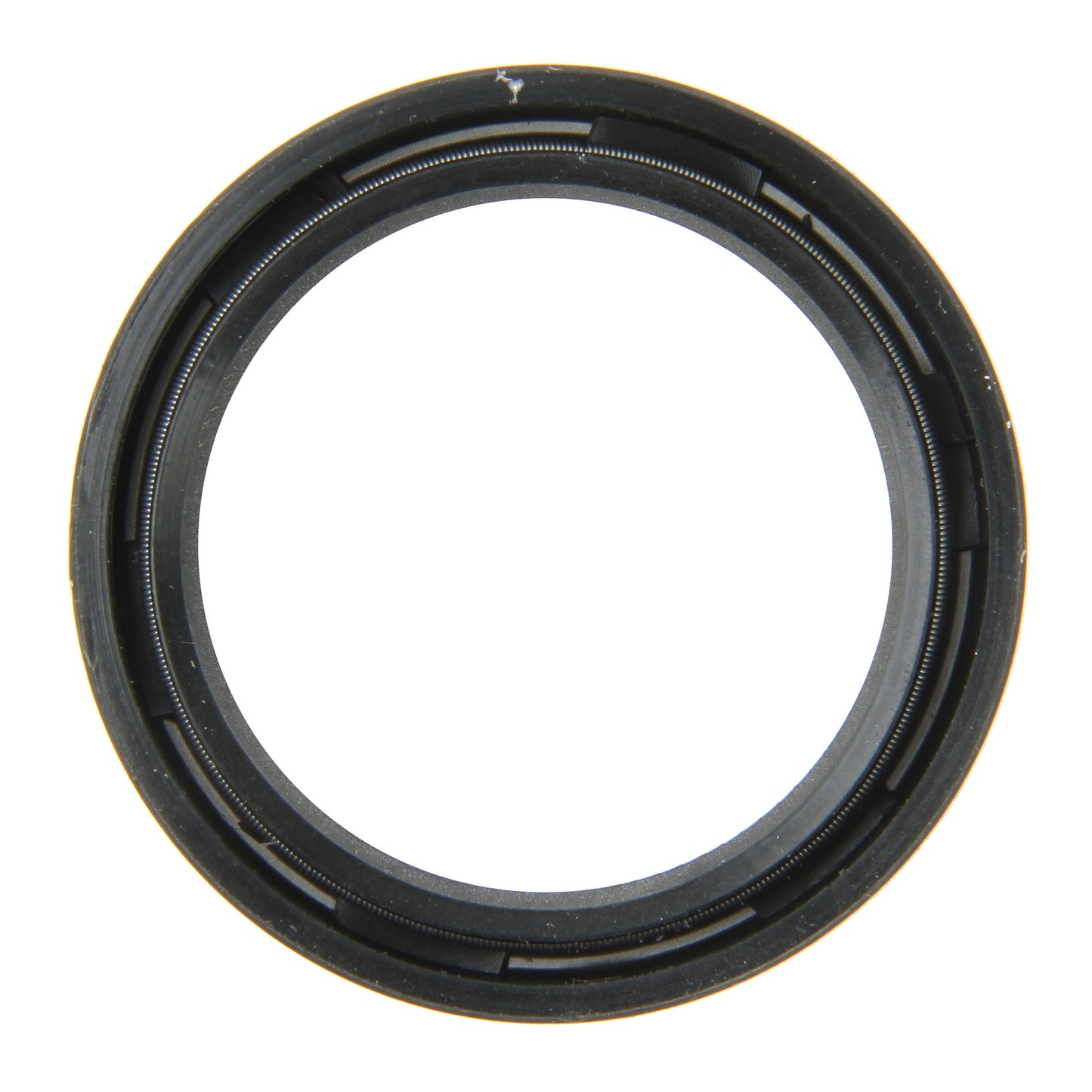 Stone Engine Crankshaft Seal