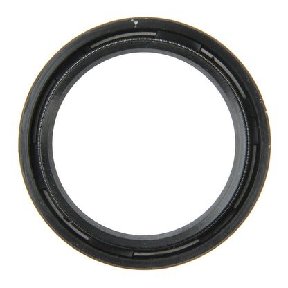 Stone Engine Crankshaft Seal