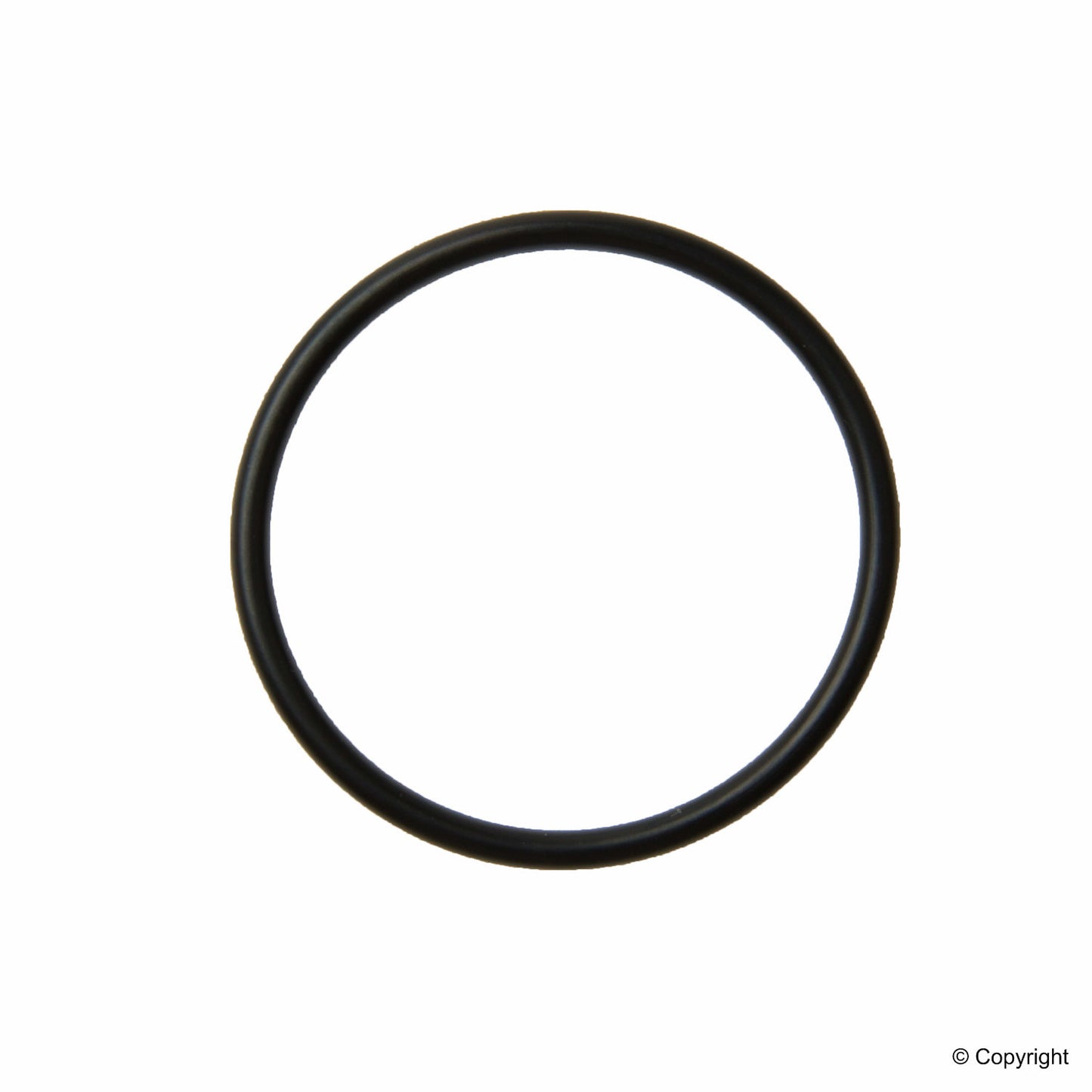 Stone Engine Water Pump O-Ring