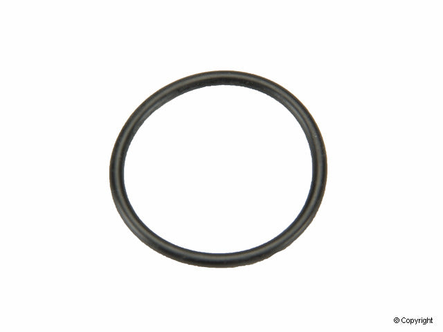 Stone Engine Camshaft Holder Seal
