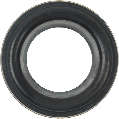 Stone Spark Plug Tube Seal