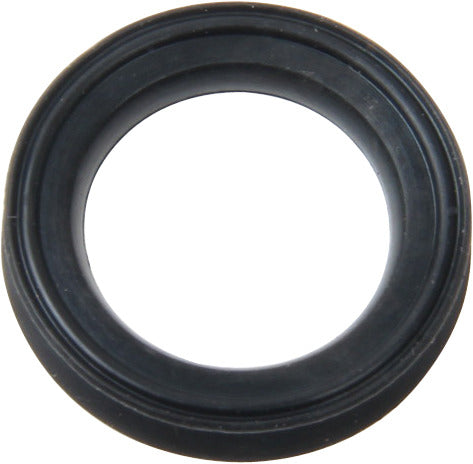 Stone Fuel Injector Seal
