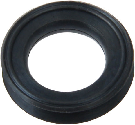 Stone Fuel Injector Seal
