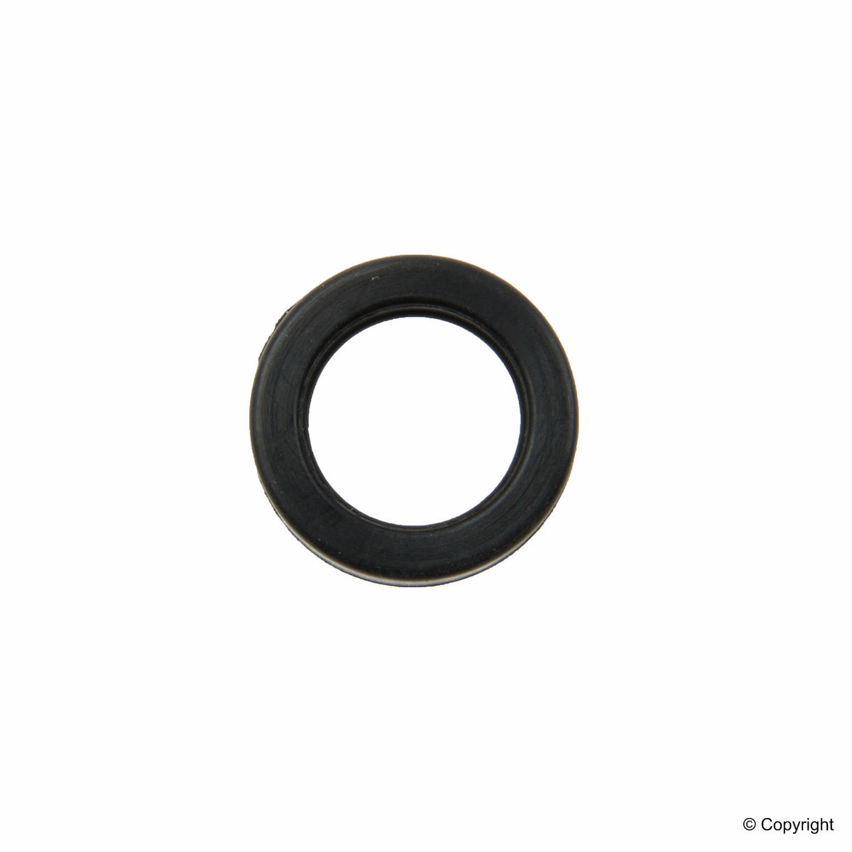 Stone Fuel Injector Seal