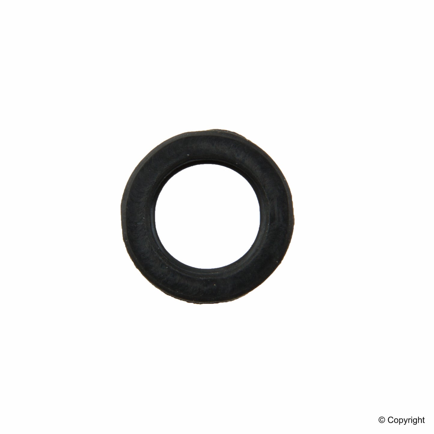 Stone Fuel Injector Seal