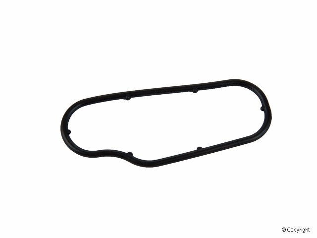 Stone Engine Coolant Thermostat Housing Seal