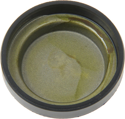 Stone Engine Camshaft Plug