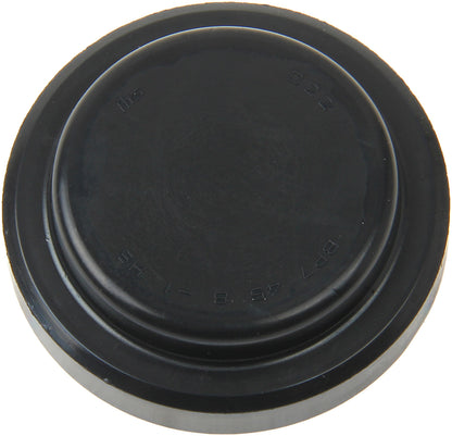 Stone Engine Camshaft Plug