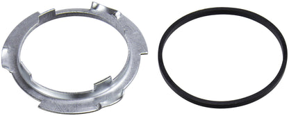 Spectra Premium Fuel Tank F1C