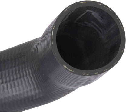 Spectra Premium Fuel Filler Hose FNH065