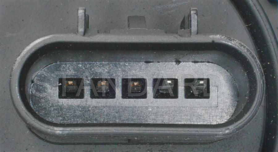 Standard Rem Electr MF21136