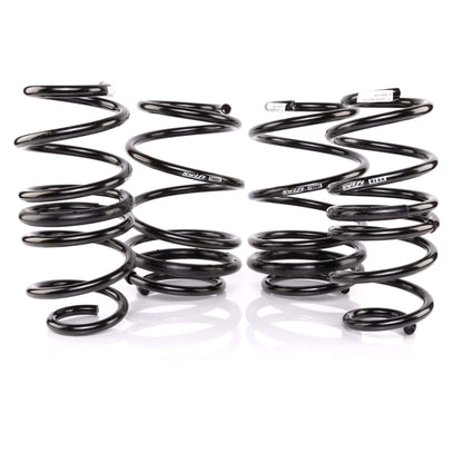 Swift Springs Spec-R (18-22 Accord)