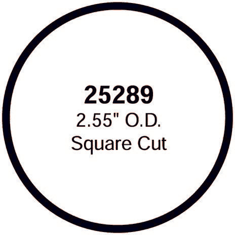 Stant 25289