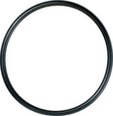 CARQUEST Caps and Stats Engine Coolant Thermostat Seal 27271