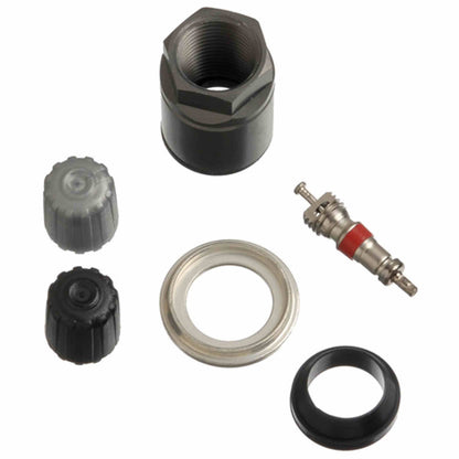 Schrader TPMS Service Pack - Volkswagen - 25 Pack 20017-25