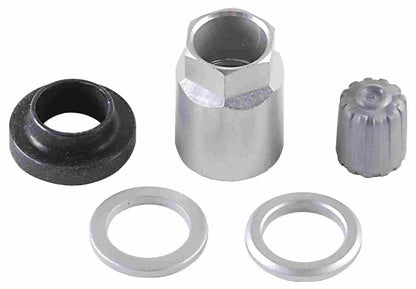 Schrader TPMS Service Pack - Beru Stems (No Valve) - 25 Pack 20023-25