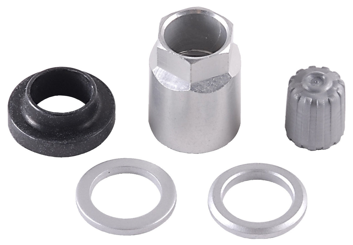 Schrader TPMS Service Pack - Beru Stems (No Valve) - 25 Pack 20023-25