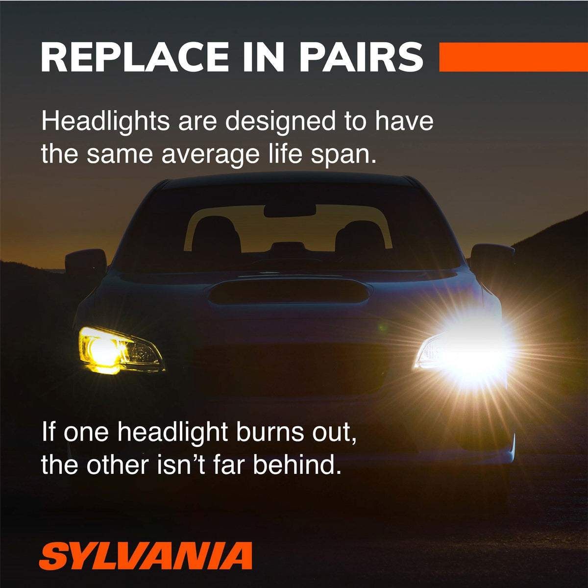 SYLVANIA 862 Basic Fog Bulb, 1 Pack 862.BX