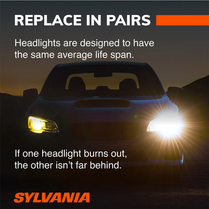 SYLVANIA 862 Basic Fog Bulb, 1 Pack 862.BX