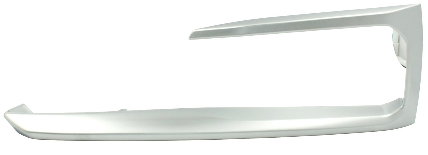 Taiwan Bumper Cover Molding BM1046151 main image