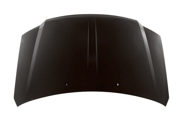 Taiwan Hood Panel Assembly CH1230266C main image