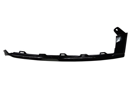 Taiwan Bumper Cover Molding HO1046102C main image