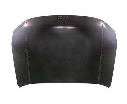 Taiwan Hood Panel Assembly HY1230192 main image
