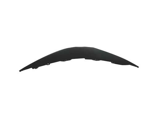 Taiwan Grille Molding TO1210119C main image