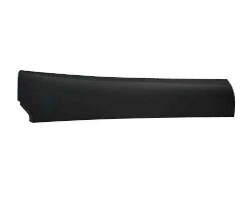 Collision Door Molding TO1504112 main image