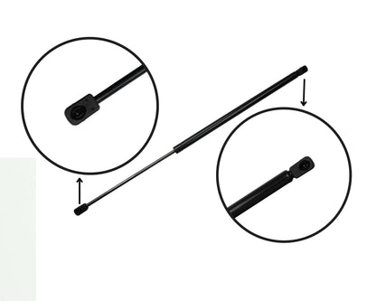 Tuff Support Hatch Lift Support