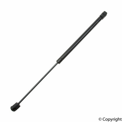 Tuff Support Back Glass Lift Support