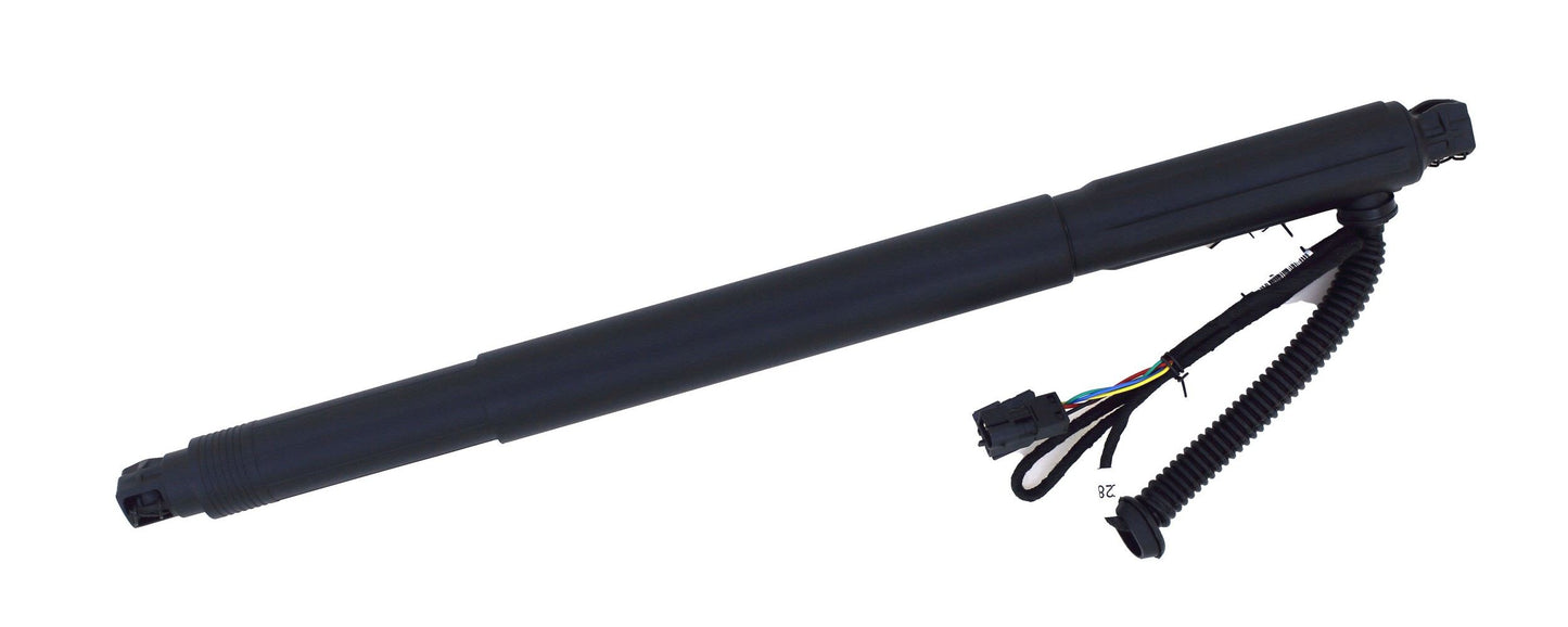Tuff Support Liftgate Lift Support 615008
