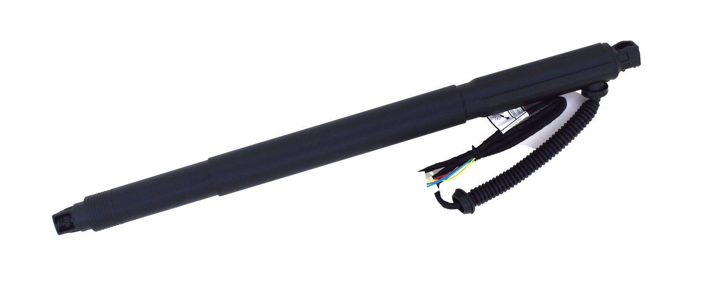Tuff Support Liftgate Lift Support 615009