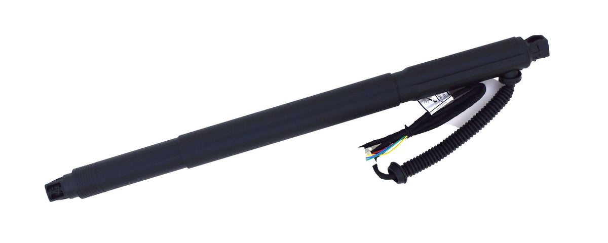 Tuff Support Liftgate Lift Support 615009
