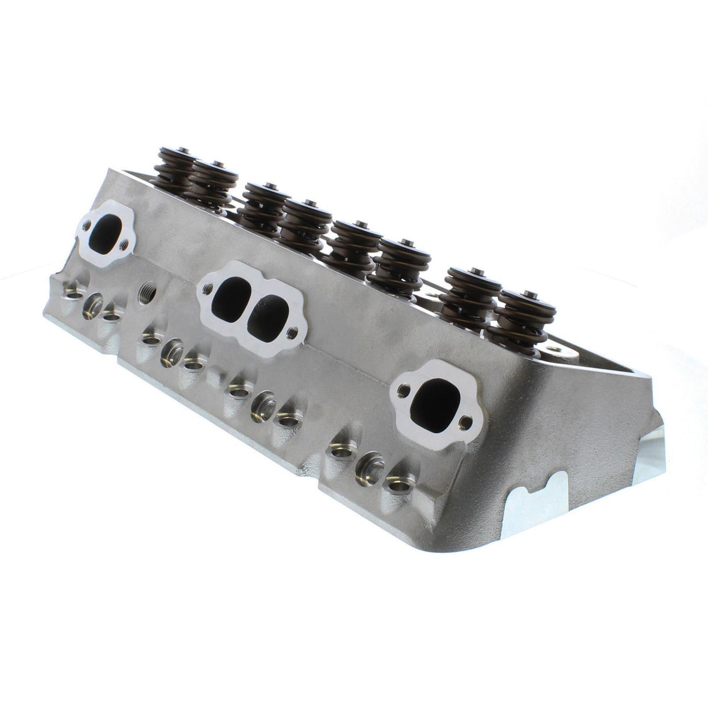 Trick Flow Specialties SBC DHC 175 ALm Cylinder Head 60cc S/P Assembled Cylinder Heads and Components Cylinder Heads main image
