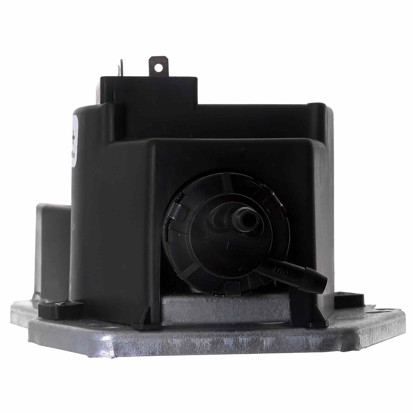 TRICO Spray Windshield Washer Pump 11-516