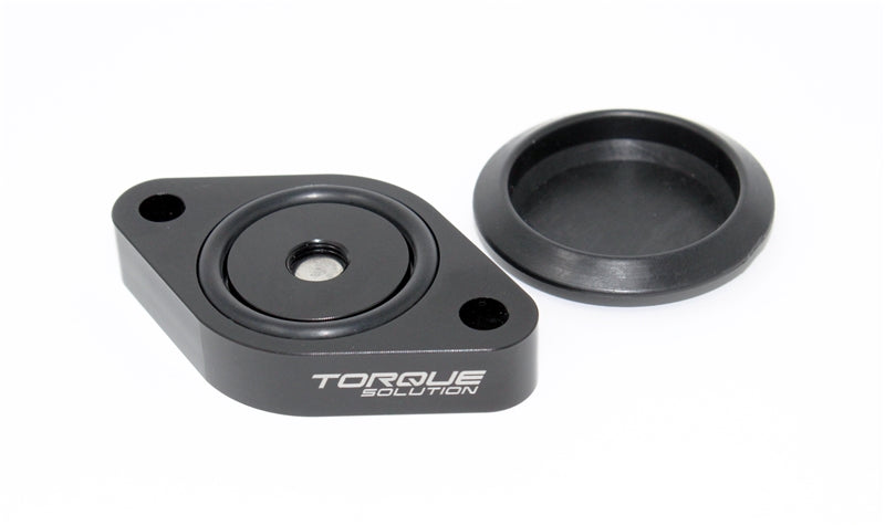 Torque Solution Sound Symposer Delete: Ford Focus ST 2013+ TS-ST-511