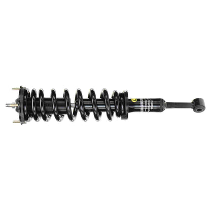 Monroe Shocks & Struts Suspension Strut and Coil Spring Assembly 153032L