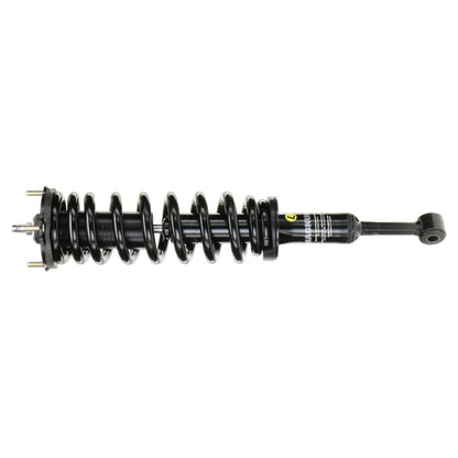 Monroe Shocks & Struts Suspension Strut and Coil Spring Assembly 153032L