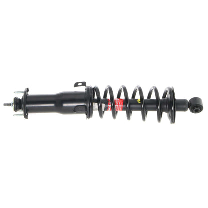 Monroe Shocks & Struts Suspension Strut and Coil Spring Assembly 171134L