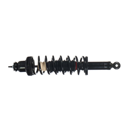 Monroe Shocks & Struts Suspension Strut and Coil Spring Assembly 171146