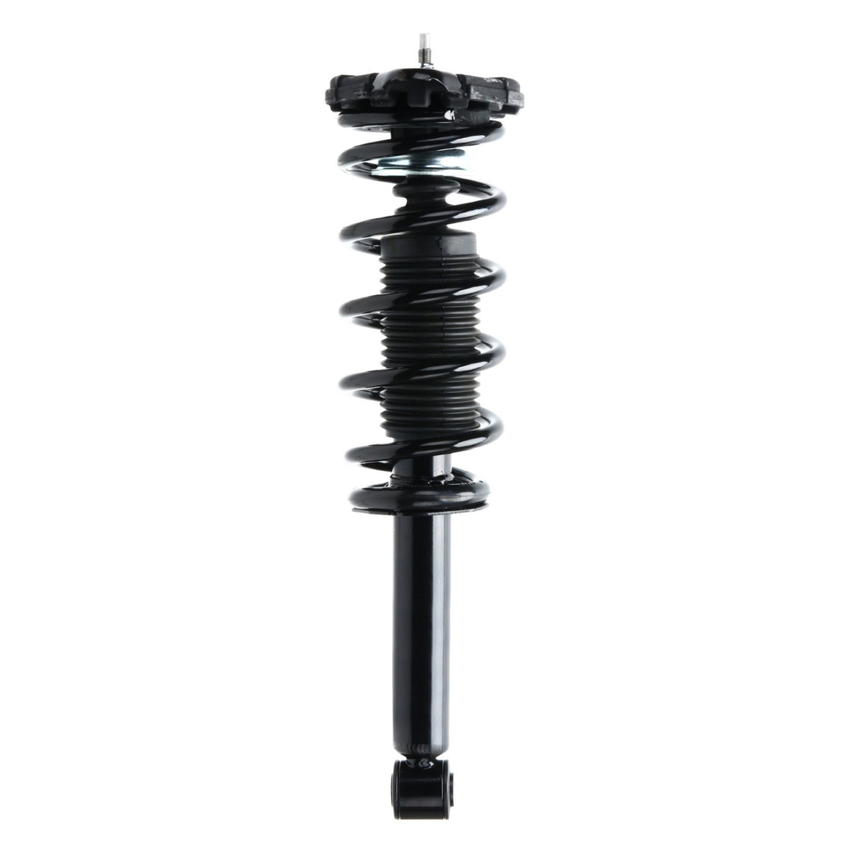 Monroe Shocks & Struts Suspension Strut and Coil Spring Assembly 171312