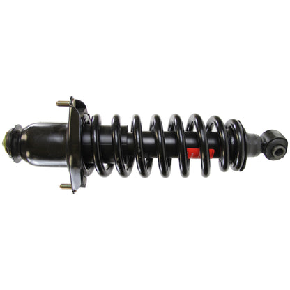 Monroe Shocks & Struts Suspension Strut and Coil Spring Assembly 171375L